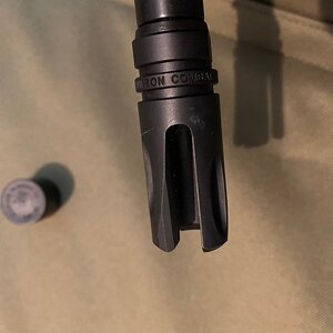 IMG_8930.jpg
