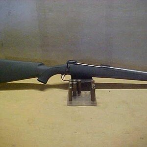 sav585.jpg