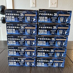 IMG_6971.jpeg