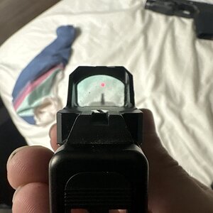 image.jpg