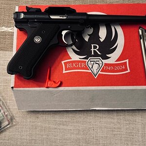 ruger.jpeg