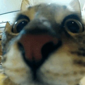 Screenshot_20250613-102609~2.png