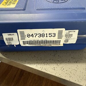 IMG_7550.jpeg