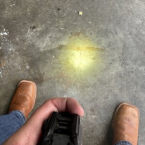 IMG_3138.jpeg