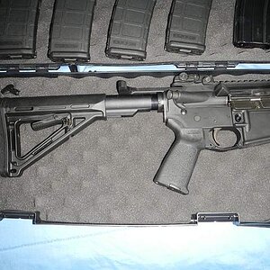 DPMS2.jpg