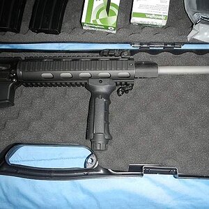 DPMS1.jpg