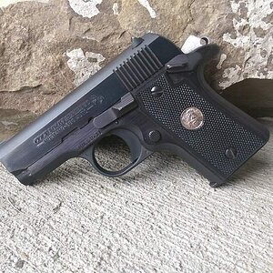 Colt Mustang.jpg