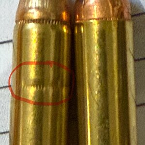 IMG_2624.jpeg