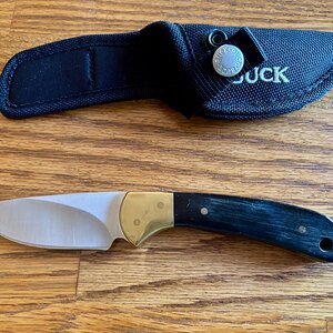 Buck 2.jpg