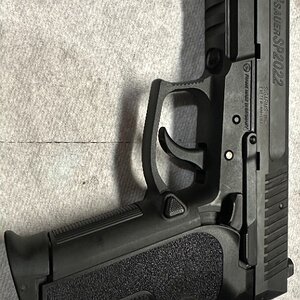Sig 2022.jpg