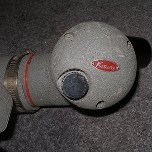 PB030247.JPG
