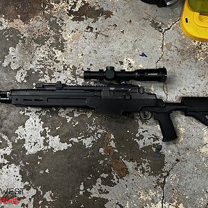m14 2.jpg