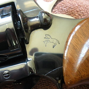 DSCN5539.JPG