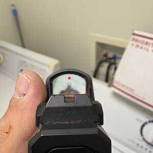 IMG_0710.jpeg