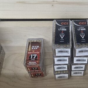 1000016711.jpg