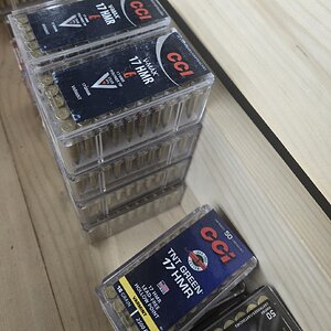 1000016712.jpg