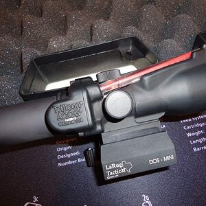 acog01.jpg