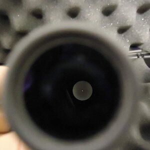 acog03.jpg