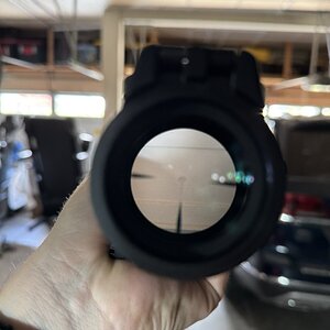 IMG_0383.jpeg