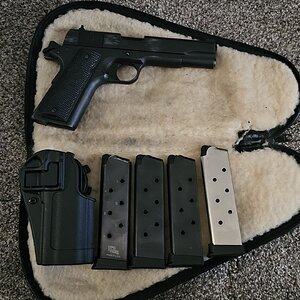 1911A!.jpg