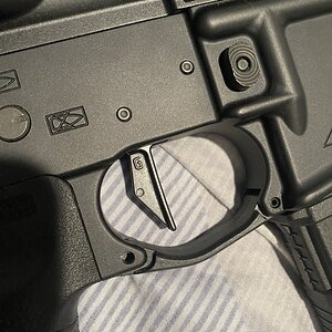 IMG_3235.jpeg