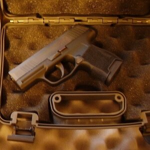 Sig P365 1.jpg