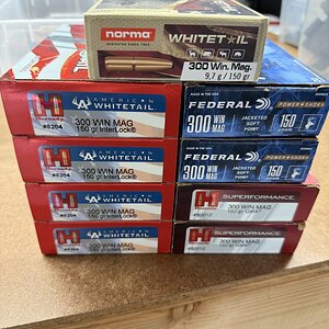 IMG_6127.jpeg