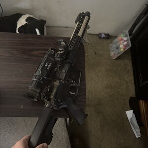IMG_3444.jpeg