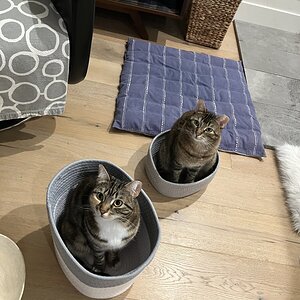 IMG_0468.jpeg