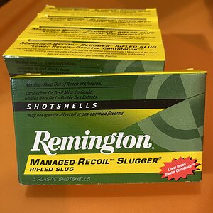 IMG_9333.jpeg