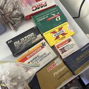 IMG_8855.jpeg