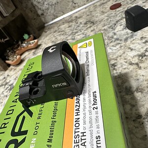 IMG_7913.jpeg