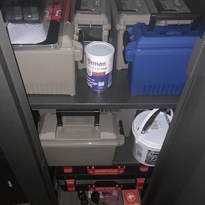 IMG_2965.jpeg
