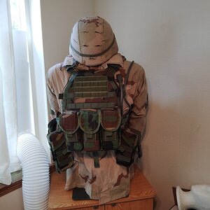 IMG_20250726_102447.jpg