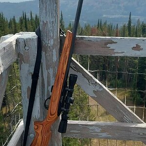 rifle1.jpg