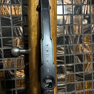 IMG_3644.jpeg