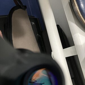 IMG_0409.jpeg