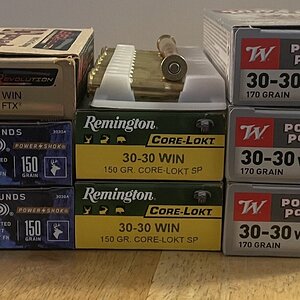 IMG_1181.jpeg