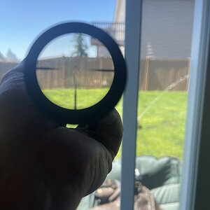 IMG_9375.jpeg