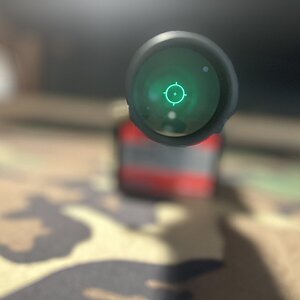 IMG_1831.jpeg