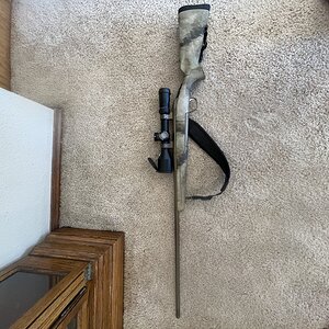 IMG_1312.jpeg