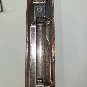 4704.jpg