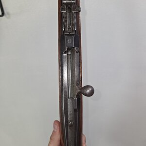 4703.jpg
