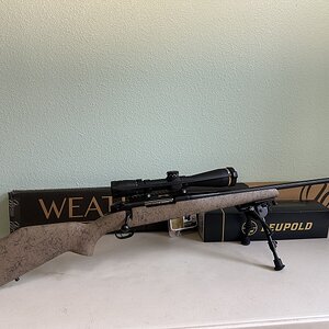 IMG_3552.jpeg