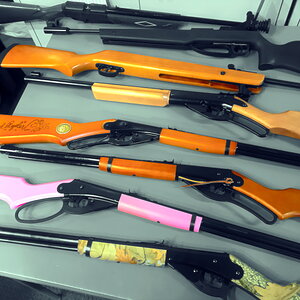 tableofdaisyrifles_june2022a.jpg
