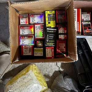 IMG_4055.jpeg