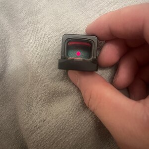 IMG_6460.jpeg