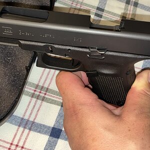 IMG_3514.jpeg
