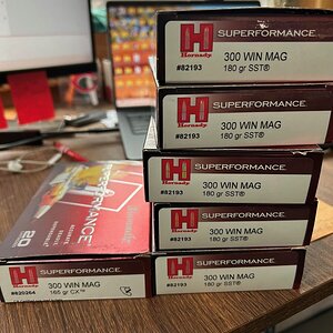 ammo.jpg