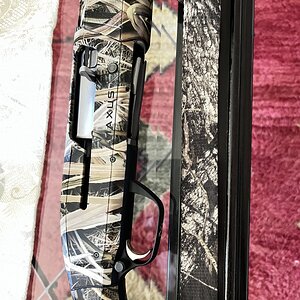 IMG_3092.jpeg